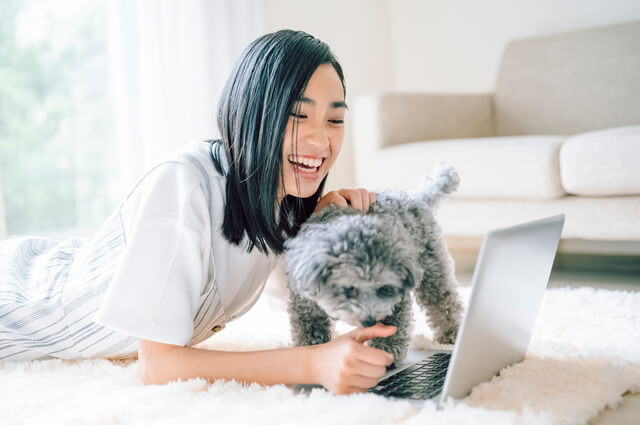 大型犬のペット保険をおすすめ・人気ランキングから徹底比較!のサムネイル画像